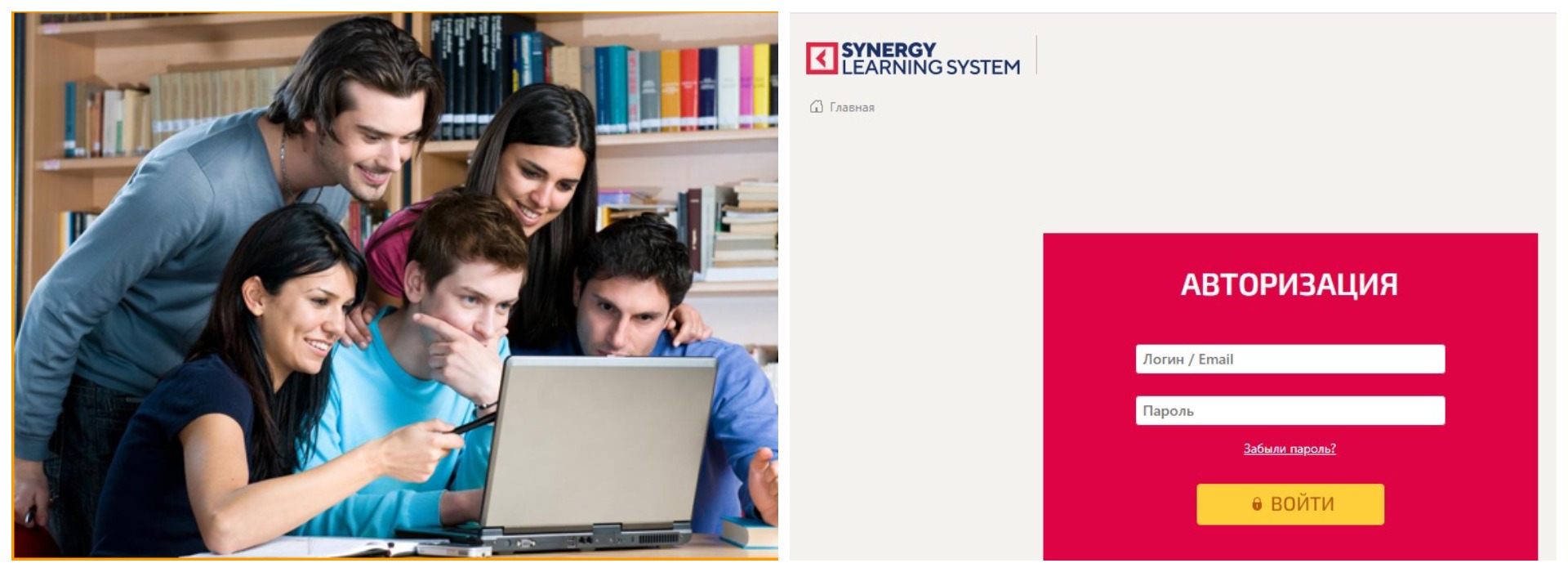 Synergy learning system - личный кабинет студента вход